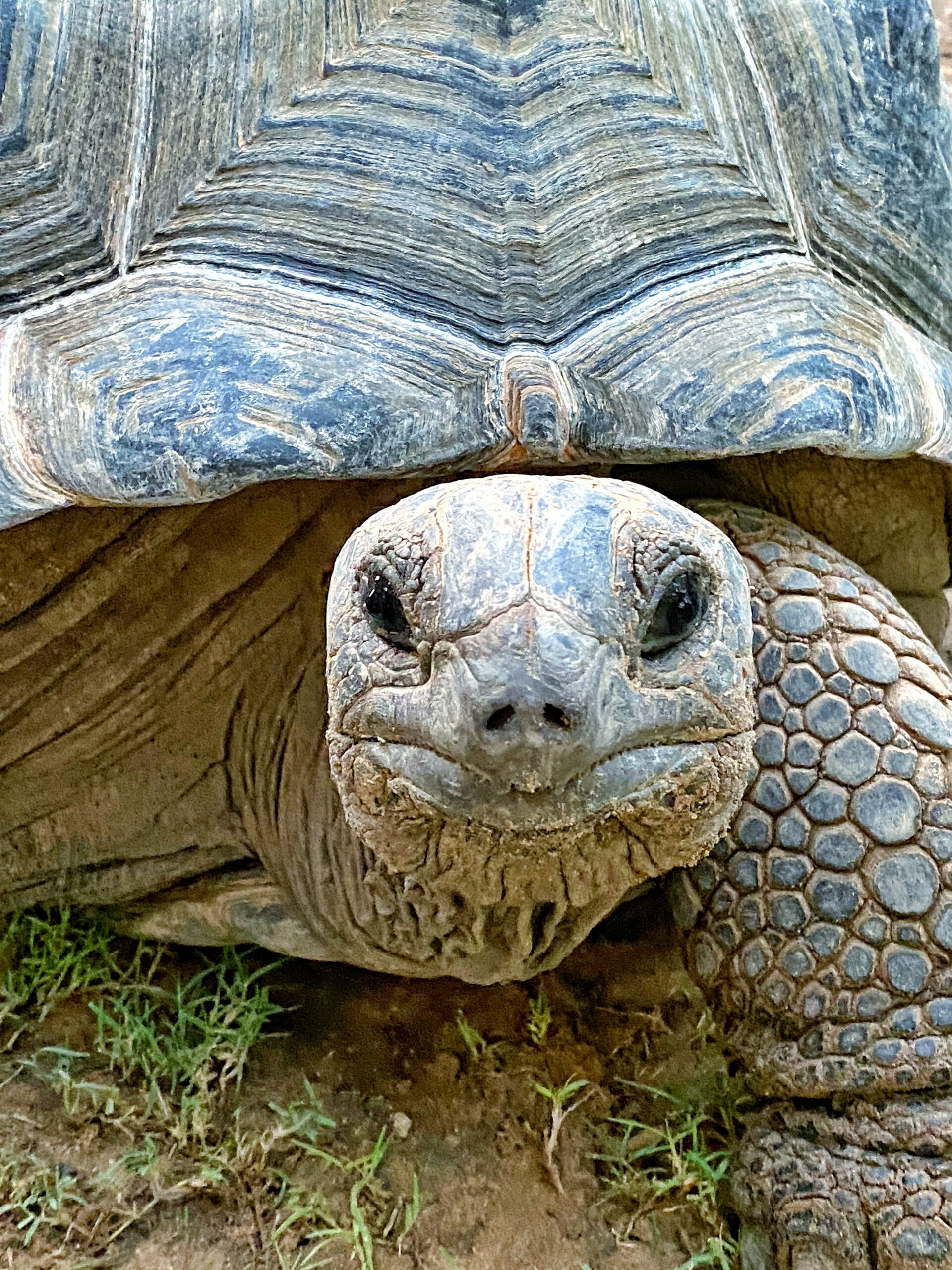Galapagos Islands